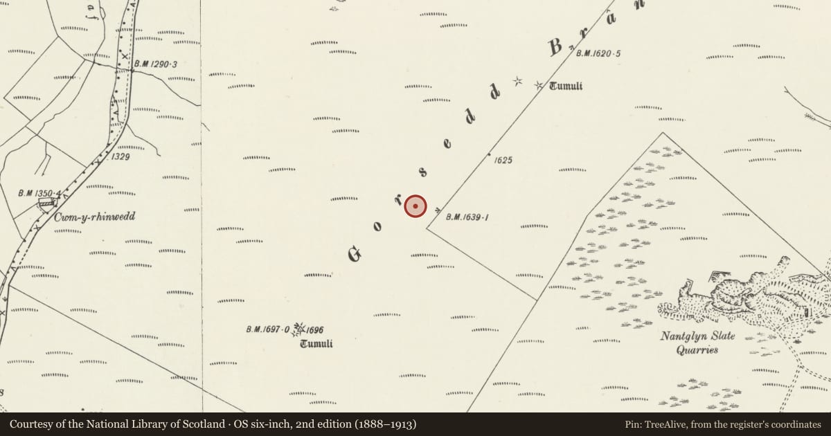Ordnance Survey six-inch map, 2nd edition (1888–1913) covering the location of Gorsedd Bran Round Barrows, Nantglyn, Denbighshire, with a pin at the register's coordinates