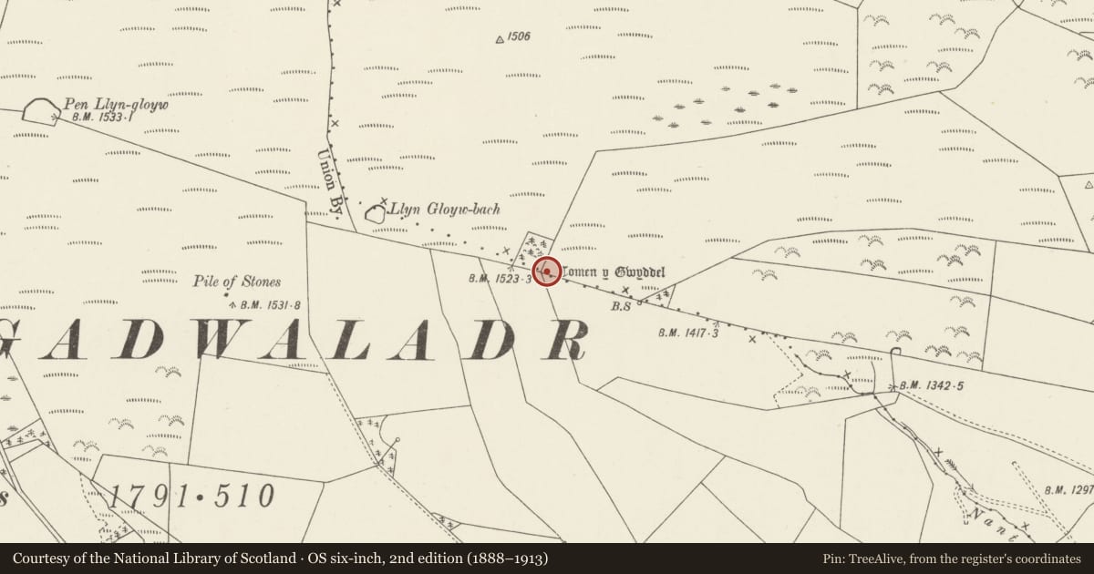 Ordnance Survey six-inch map, 2nd edition (1888–1913) covering the location of Tomen y Gwyddel Round Barrow, Ceiriog Ucha, Wrexham, with a pin at the register's coordinates