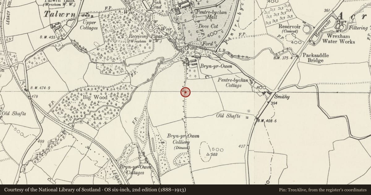 Ordnance Survey six-inch map, 2nd edition (1888–1913) covering the location of Offa's Dyke: Section S of Bryn yr Owen Farm, Esclusham, Wrexham, with a pin at the register's coordinates