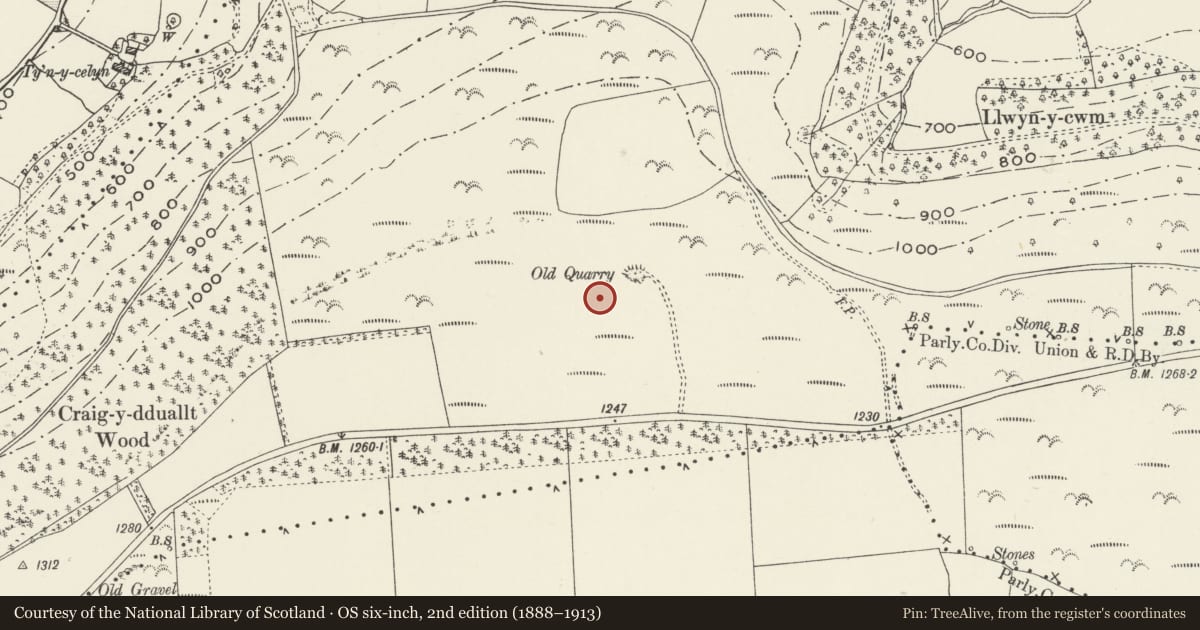 Ordnance Survey six-inch map, 2nd edition (1888–1913) covering the location of Pontcysyllte Aqueduct and Canal, Llangollen Rural, Denbighshire, with a pin at the register's coordinates