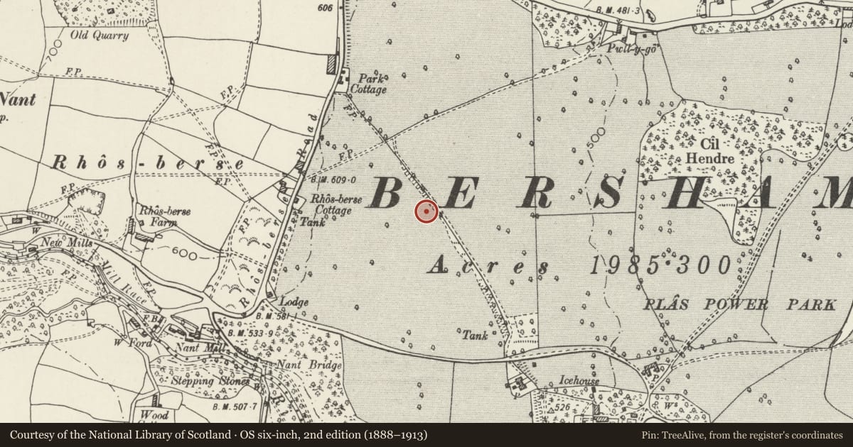 Ordnance Survey six-inch map, 2nd edition (1888–1913) covering the location of Offa's Dyke: Section in Plas Power Park, Coedpoeth, Wrexham, with a pin at the register's coordinates