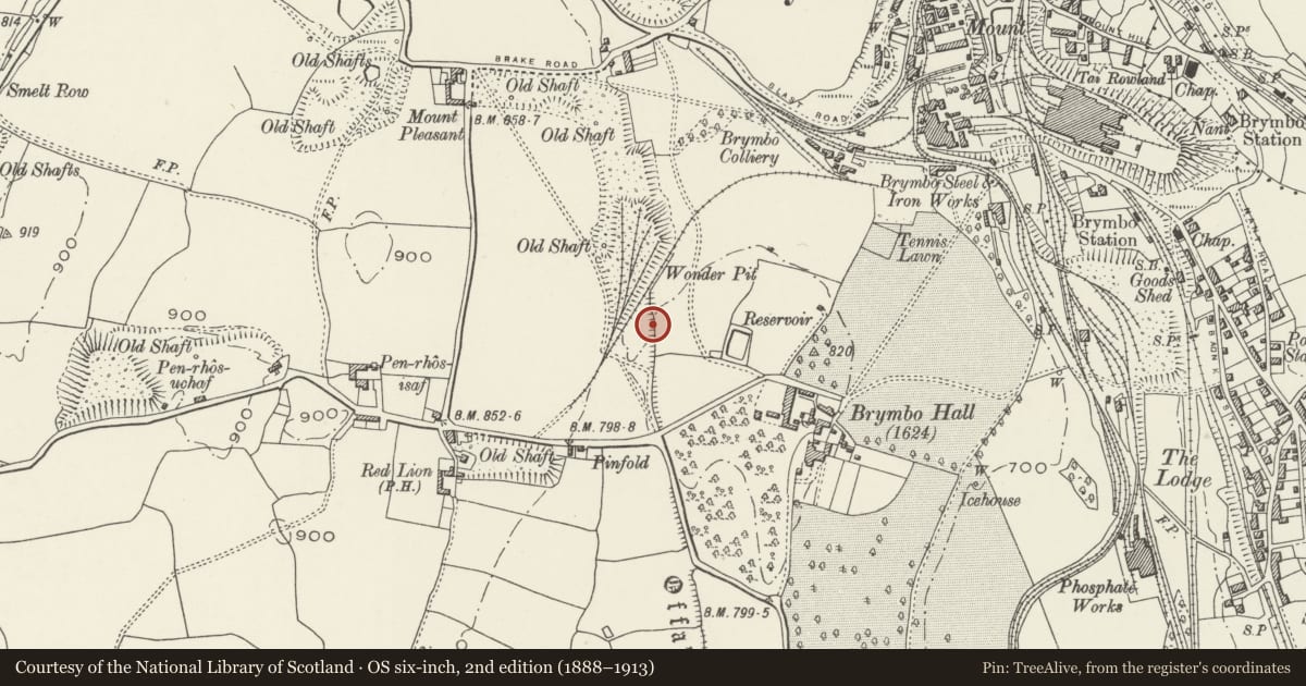 Ordnance Survey six-inch map, 2nd edition (1888–1913) covering the location of Offa's Dyke: Section South of Brymbo Colliery, Wrexham, with a pin at the register's coordinates