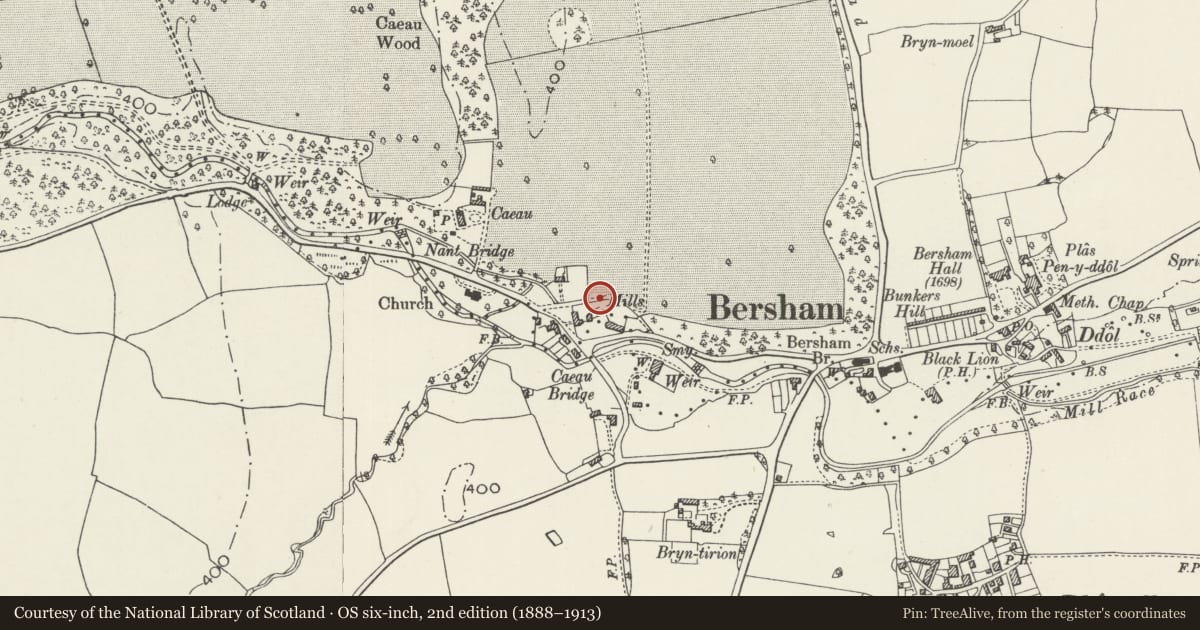 Ordnance Survey six-inch map, 2nd edition (1888–1913) covering the location of Bersham Ironworks, Esclusham, Wrexham, with a pin at the register's coordinates