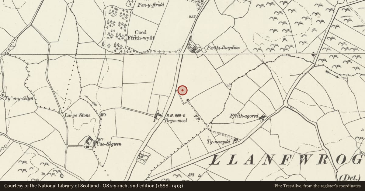 Ordnance Survey six-inch map, 2nd edition (1888–1913) covering the location of Plas Perthi Burial Mound, Clocaenog, Denbighshire, with a pin at the register's coordinates