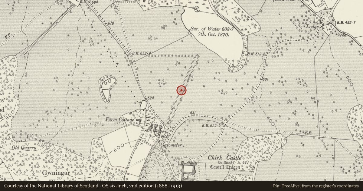 Ordnance Survey six-inch map, 2nd edition (1888–1913) covering the location of Offa's Dyke: Chirk Park Section extending 340m NE of Home Farm, Wrexham, with a pin at the register's coordinates
