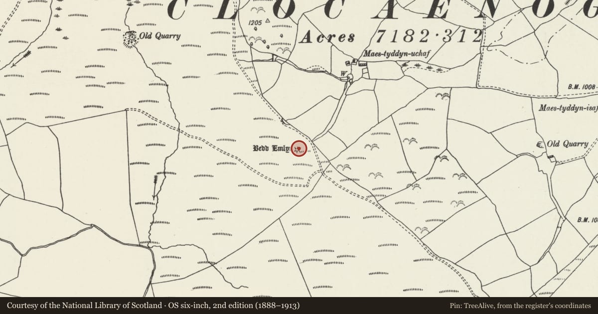 Ordnance Survey six-inch map, 2nd edition (1888–1913) covering the location of Bedd Emlyn, Clocaenog, Denbighshire, with a pin at the register's coordinates