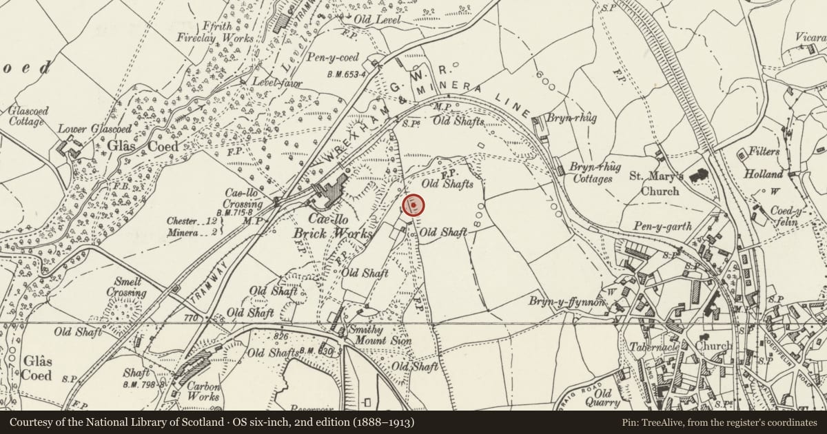 Ordnance Survey six-inch map, 2nd edition (1888–1913) covering the location of Offa's Dyke: Mountain View Section, Brymbo, Wrexham, with a pin at the register's coordinates