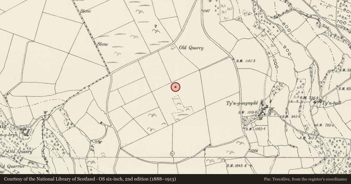 Ordnance Survey six-inch map, 2nd edition (1888–1913) covering the location of Pen-y-Brongyll Round Barrow, Glyntraian, Wrexham, with a pin at the register's coordinates