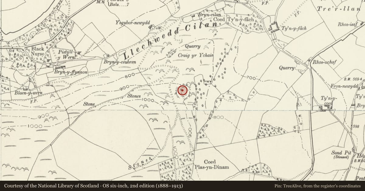 Ordnance Survey six-inch map, 2nd edition (1888–1913) covering the location of Craig yr Uchain, Llandrillo, Denbighshire, with a pin at the register's coordinates
