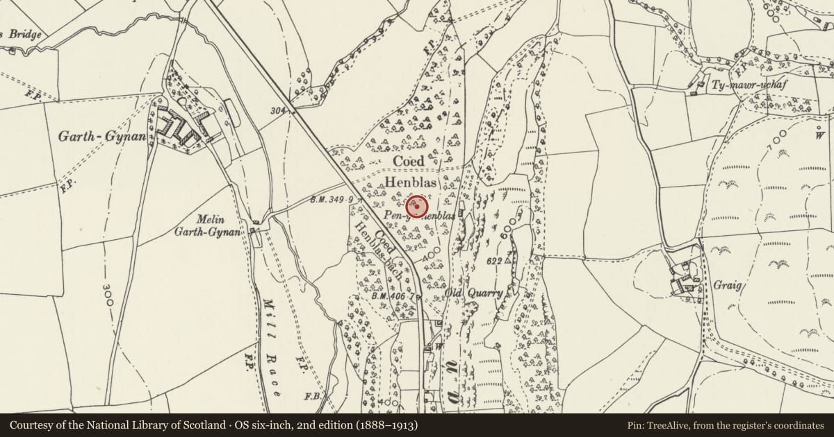 Ordnance Survey six-inch map, 2nd edition (1888–1913) covering the location of Coed Henblas Moated Site, Llanfair Dyffryn Clwyd, Denbighshire, with a pin at the register's coordinates