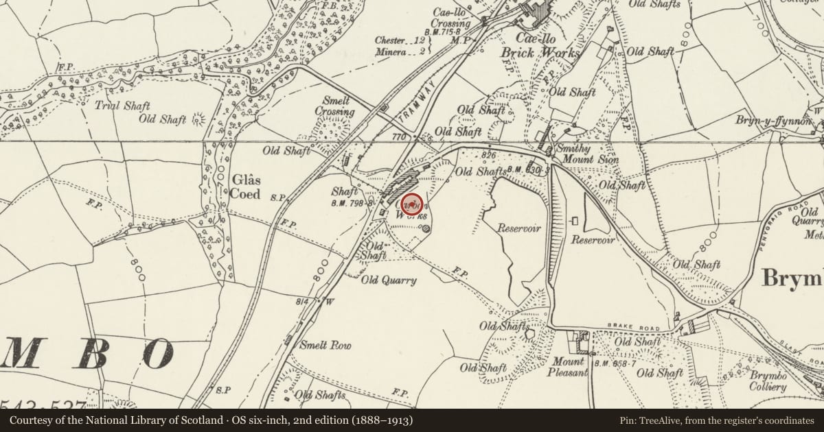Ordnance Survey six-inch map, 2nd edition (1888–1913) covering the location of Brymbo Lead Smelting Works, Wrexham, with a pin at the register's coordinates