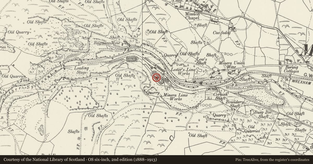 Ordnance Survey six-inch map, 2nd edition (1888–1913) covering the location of Minera Hoffman Limekiln, Wrexham, with a pin at the register's coordinates