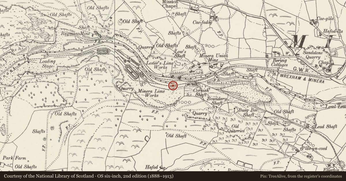 Ordnance Survey six-inch map, 2nd edition (1888–1913) covering the location of Bank of Six Vertical Limekilns at Minera Quarry, Wrexham, with a pin at the register's coordinates