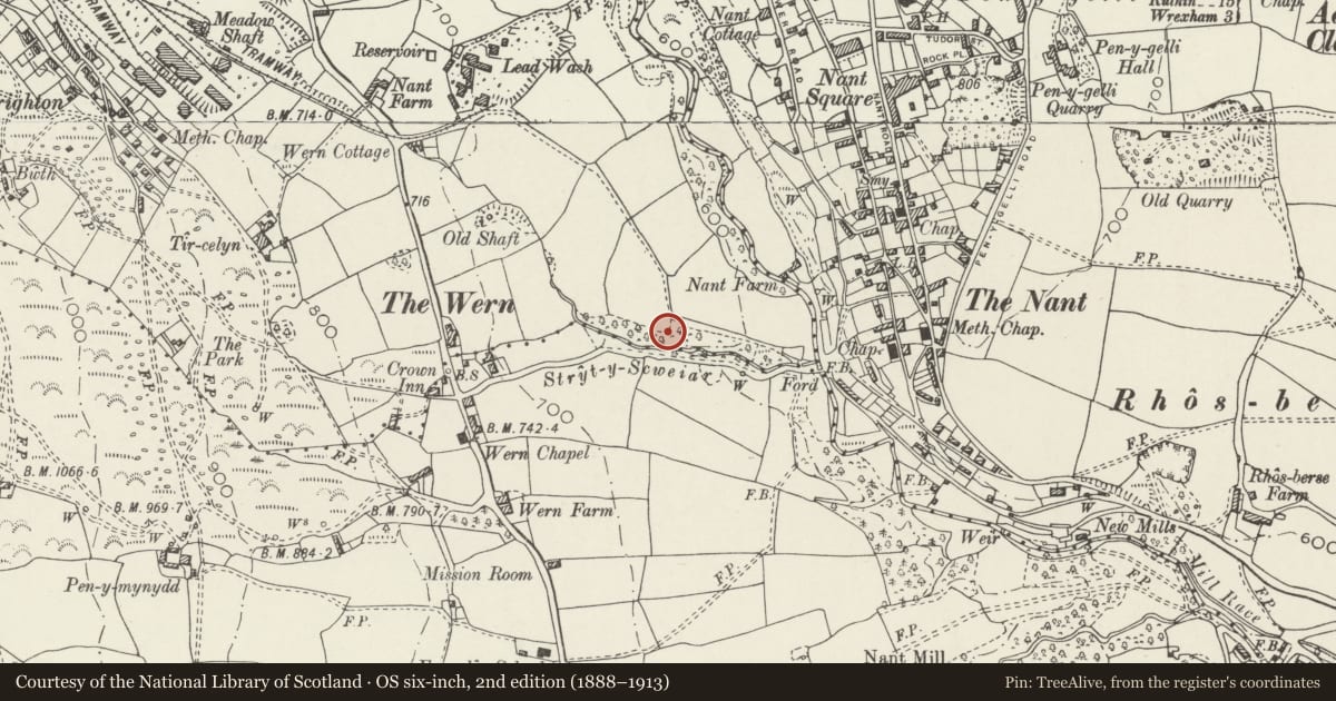 Ordnance Survey six-inch map, 2nd edition (1888–1913) covering the location of Nant Mill Wood Shaft Mounds, Minera, Wrexham, with a pin at the register's coordinates