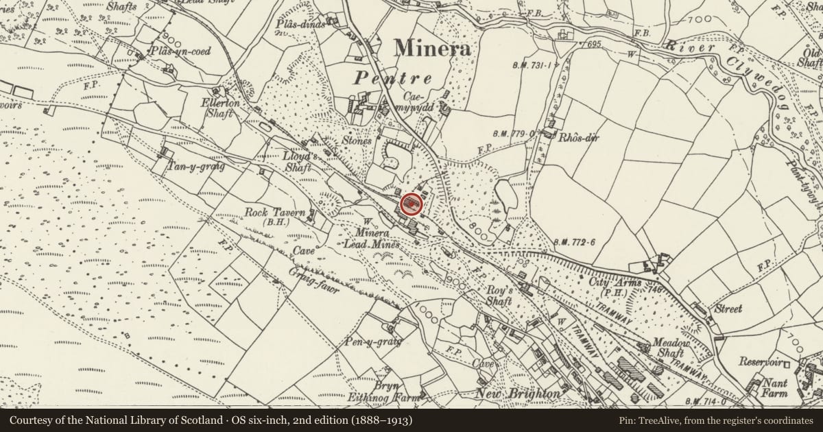Ordnance Survey six-inch map, 2nd edition (1888–1913) covering the location of Taylor's Shaft, Minera, Wrexham, with a pin at the register's coordinates