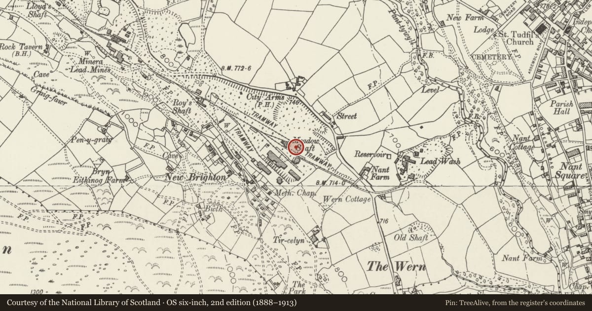 Ordnance Survey six-inch map, 2nd edition (1888–1913) covering the location of Meadow Shaft, Minera, Wrexham, with a pin at the register's coordinates