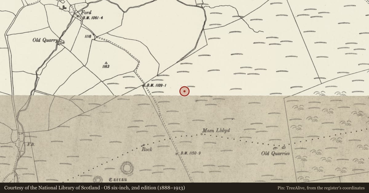Ordnance Survey six-inch map, 2nd edition (1888–1913) covering the location of Bryn Beddau Stone Circle, Clocaenog, Denbighshire, with a pin at the register's coordinates