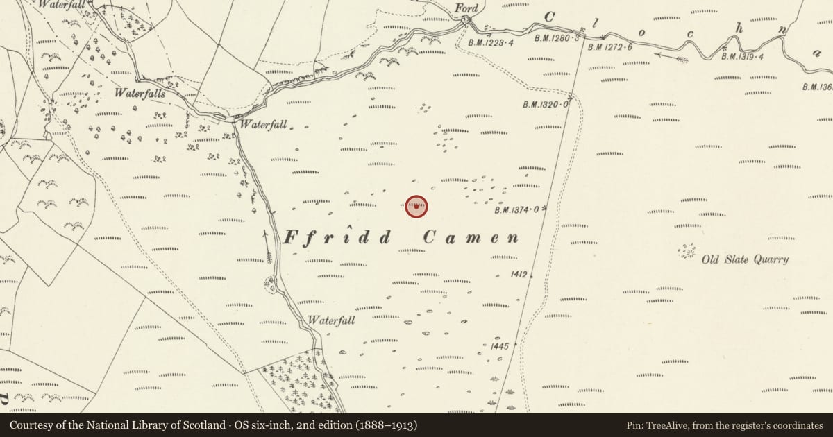 Ordnance Survey six-inch map, 2nd edition (1888–1913) covering the location of Ffridd Camen Long Hut, Llandrillo, Denbighshire, with a pin at the register's coordinates