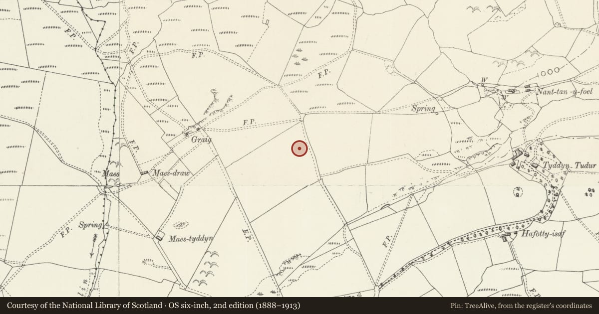 Ordnance Survey six-inch map, 2nd edition (1888–1913) covering the location of Tyddyn Tudur Enclosure, Llanfihangel Glyn Myfyr, Conwy, with a pin at the register's coordinates