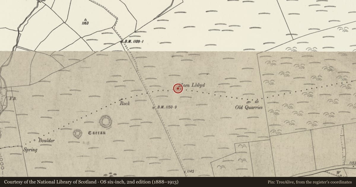 Ordnance Survey six-inch map, 2nd edition (1888–1913) covering the location of Maen Llwyd Standing Stone, Clocaenog, Denbighshire, with a pin at the register's coordinates