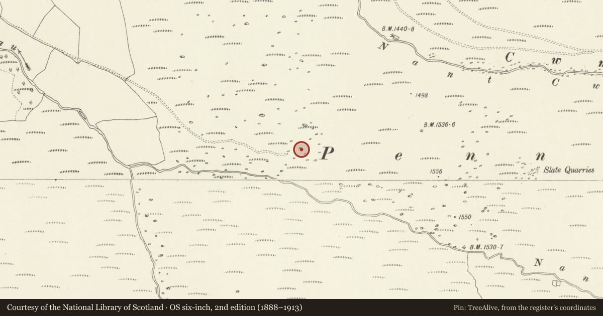 Ordnance Survey six-inch map, 2nd edition (1888–1913) covering the location of Pennant Cairns, Llandrillo, Denbighshire, with a pin at the register's coordinates