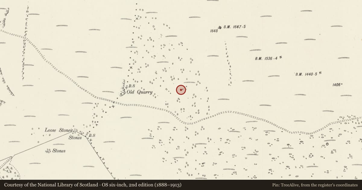 Ordnance Survey six-inch map, 2nd edition (1888–1913) covering the location of Two Cairns on Ruabon Mountain, Penycae, Wrexham, with a pin at the register's coordinates