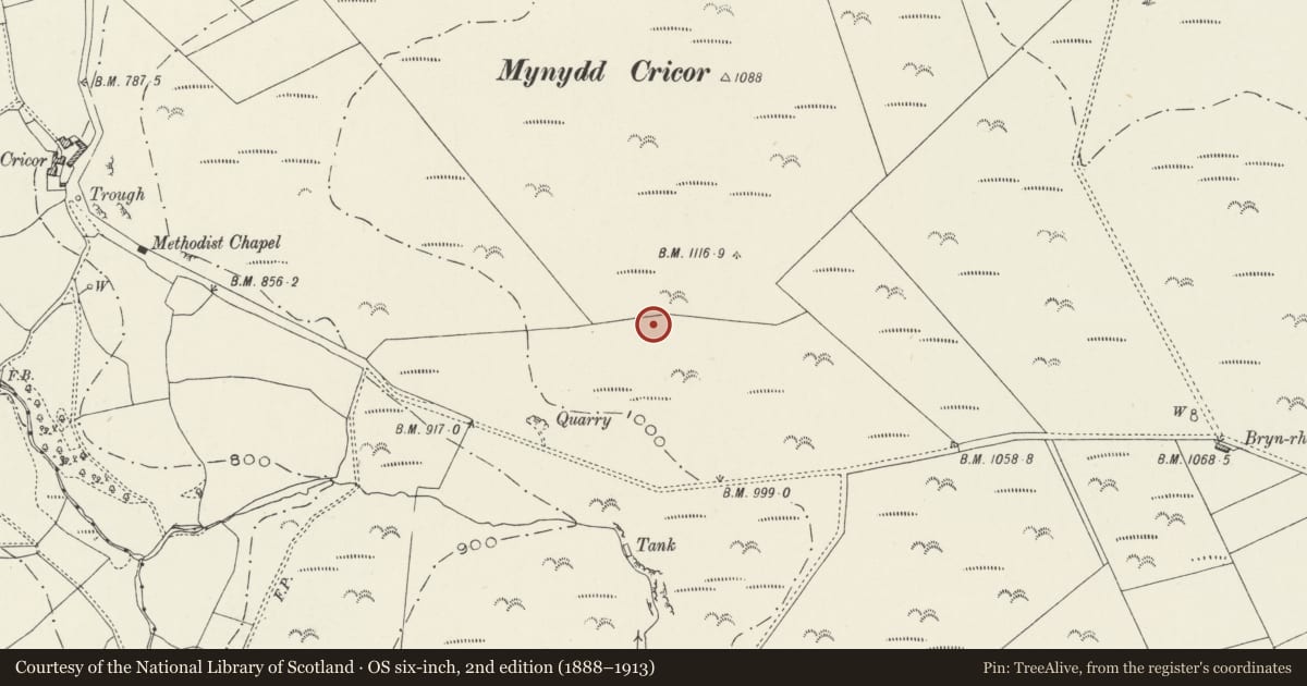 Ordnance Survey six-inch map, 2nd edition (1888–1913) covering the location of Mynydd Cricor Barrow, Llanbedr Dyffryn Clwyd, Denbighshire, with a pin at the register's coordinates