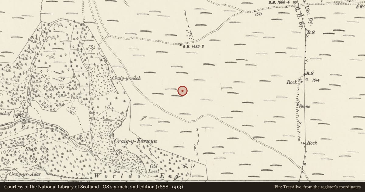 Ordnance Survey six-inch map, 2nd edition (1888–1913) covering the location of Craig-y-Forwyn Cairn, Llandegla, Denbighshire, with a pin at the register's coordinates
