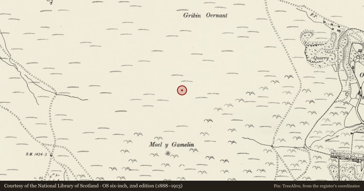 Ordnance Survey six-inch map, 2nd edition (1888–1913) covering the location of Gribin Oernant Cairn, Bryneglwys, Denbighshire, with a pin at the register's coordinates