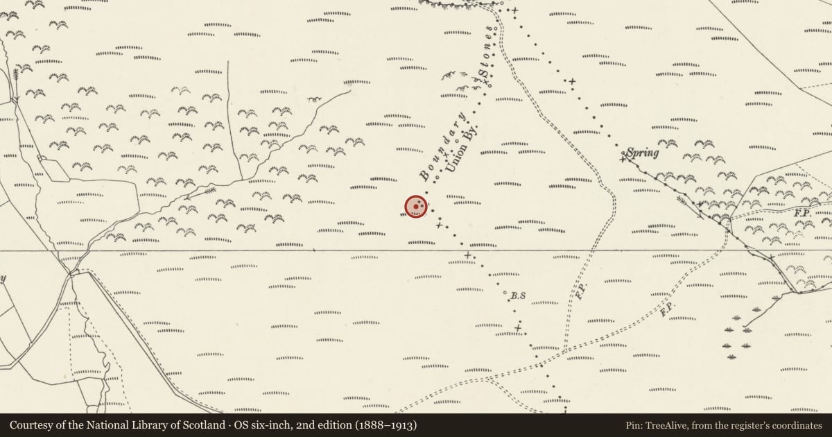 Ordnance Survey six-inch map, 2nd edition (1888–1913) covering the location of Y Foel Ddu Round Barrow, Llanrhaeadr-ym-Mochnant, Powys, with a pin at the register's coordinates