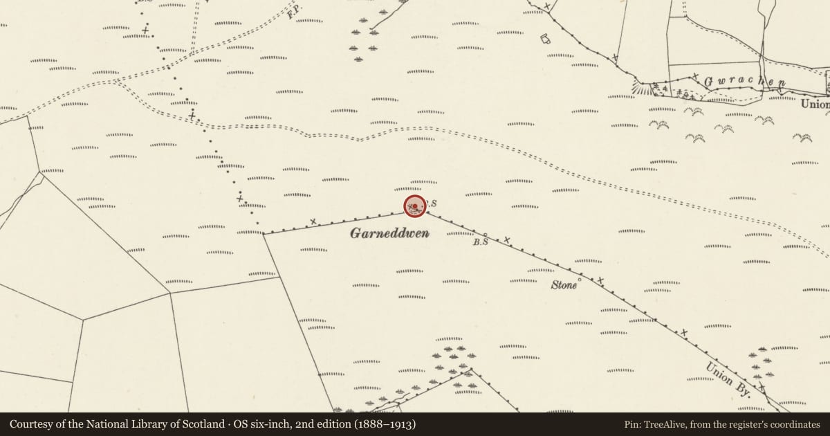Ordnance Survey six-inch map, 2nd edition (1888–1913) covering the location of Y Garnedd Wen Round Cairn, Ceiriog Ucha, Wrexham, with a pin at the register's coordinates