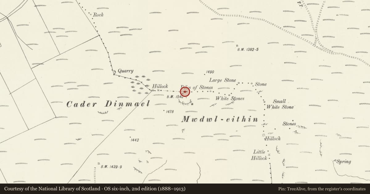 Ordnance Survey six-inch map, 2nd edition (1888–1913) covering the location of Mwdwl Eithin Round Cairn, Llanfihangel Glyn Myfyr, Conwy, with a pin at the register's coordinates