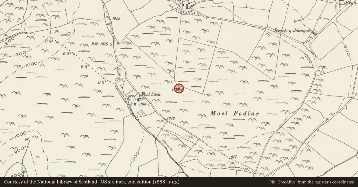 Ordnance Survey six-inch map, 2nd edition (1888–1913) covering the location of Moel Fodiar Tumuli, Llannefydd, Conwy, with a pin at the register's coordinates