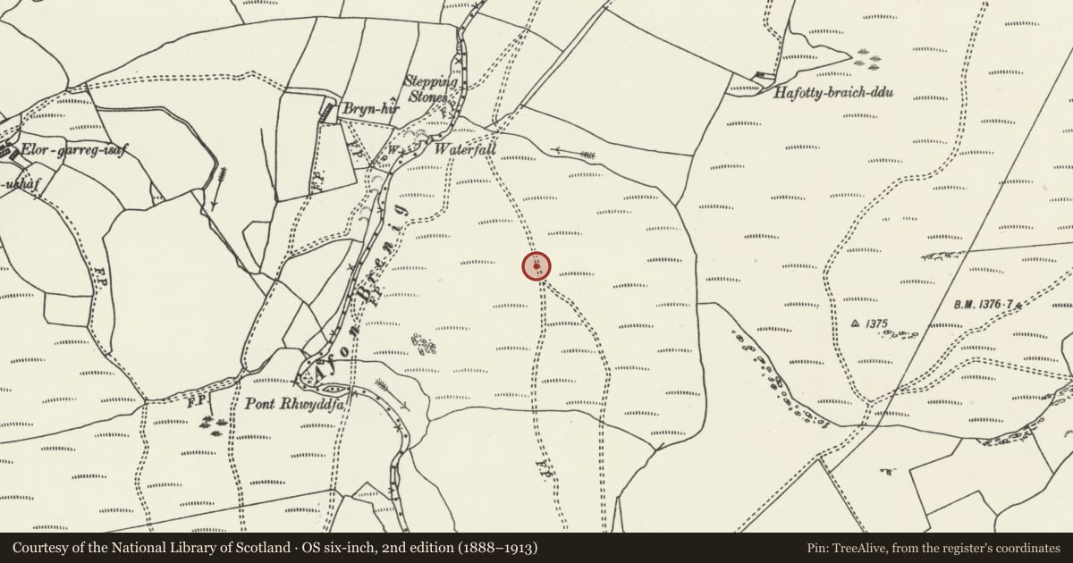 Ordnance Survey six-inch map, 2nd edition (1888–1913) covering the location of Hafotty Wen Ring Cairn, Cerrigydrudion, Conwy, with a pin at the register's coordinates