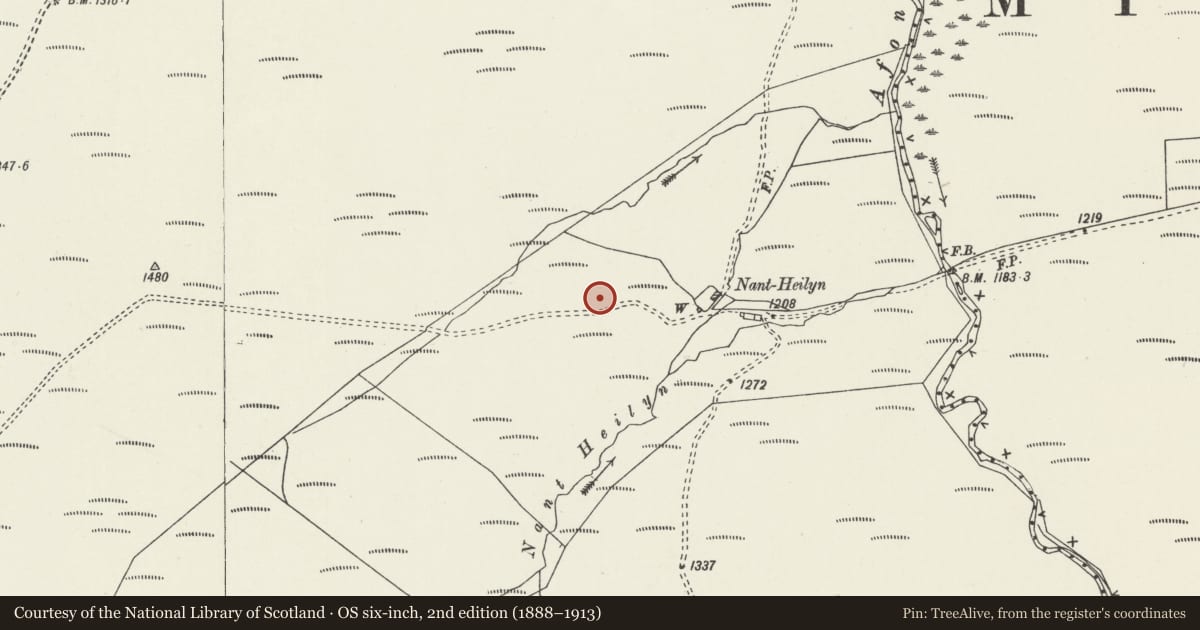 Ordnance Survey six-inch map, 2nd edition (1888–1913) covering the location of Nant Heilyn Stone Setting, Pentrefoelas, Conwy, with a pin at the register's coordinates