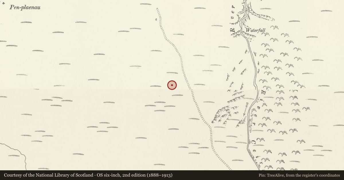 Ordnance Survey six-inch map, 2nd edition (1888–1913) covering the location of Pen-plaenau cairns and standing stone, Ceiriog Ucha, Wrexham, with a pin at the register's coordinates