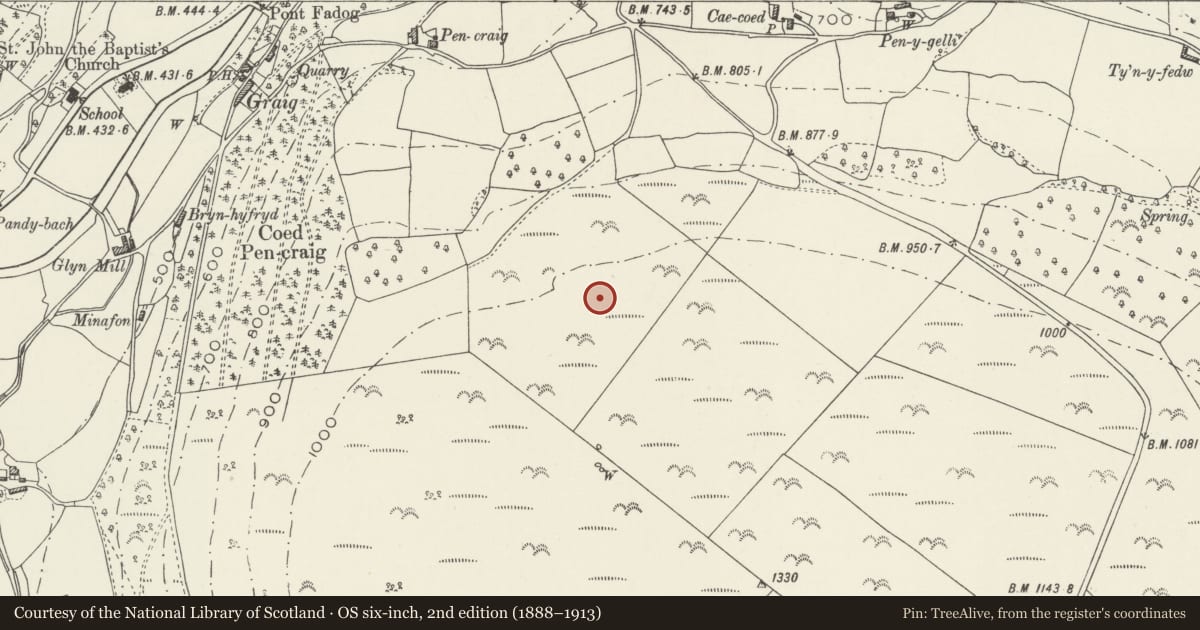 Ordnance Survey six-inch map, 2nd edition (1888–1913) covering the location of Graig cairn, Glyntraian, Wrexham, with a pin at the register's coordinates