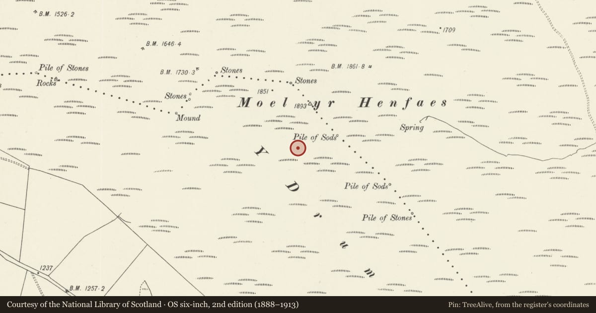Ordnance Survey six-inch map, 2nd edition (1888–1913) covering the location of Moel yr Henfaes ring cairn, Cynwyd, Denbighshire, with a pin at the register's coordinates