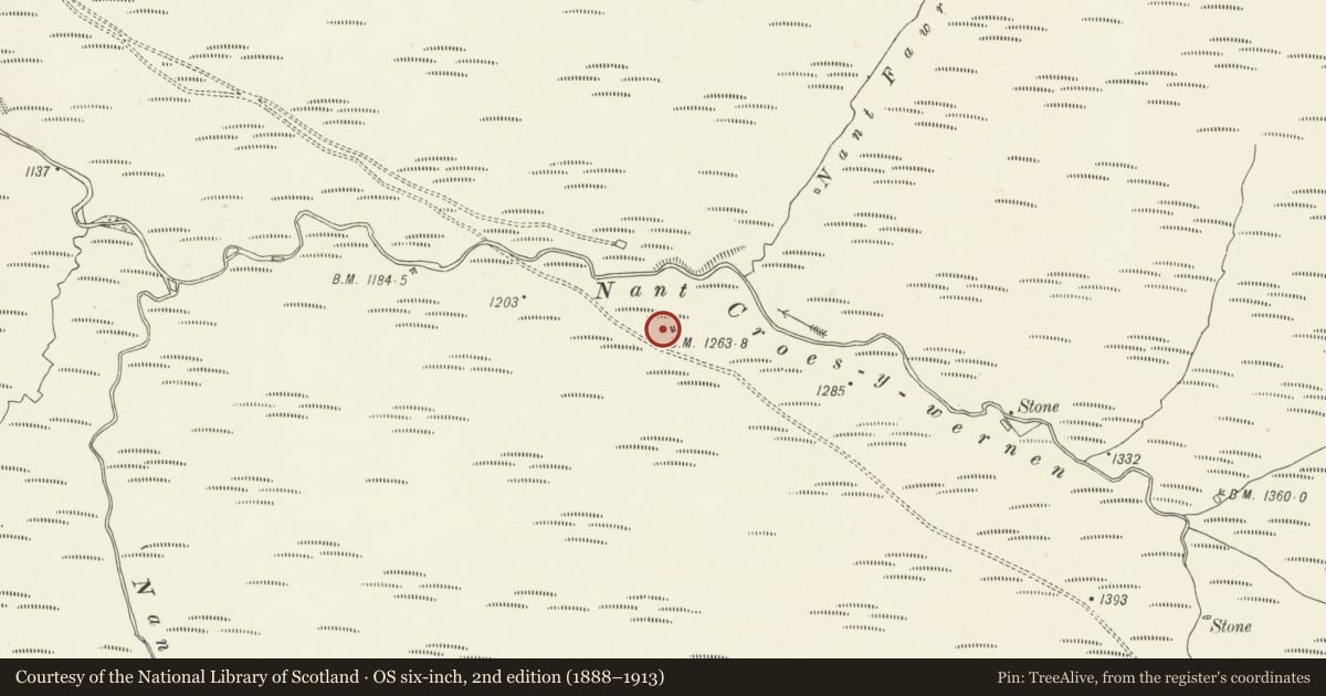Ordnance Survey six-inch map, 2nd edition (1888–1913) covering the location of Nant Croes-y-wernen stone circle, Cynwyd, Denbighshire, with a pin at the register's coordinates