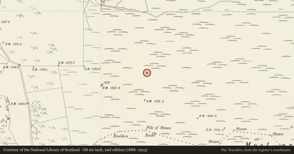 Ordnance Survey six-inch map, 2nd edition (1888–1913) covering the location of Moel yr Henfaes cairn cemetery, Cynwyd, Denbighshire, with a pin at the register's coordinates