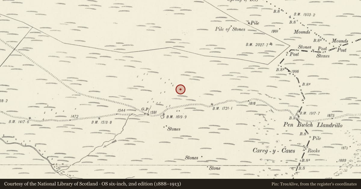 Ordnance Survey six-inch map, 2nd edition (1888–1913) covering the location of Blaen Llynor round cairn, Cynwyd, Denbighshire, with a pin at the register's coordinates