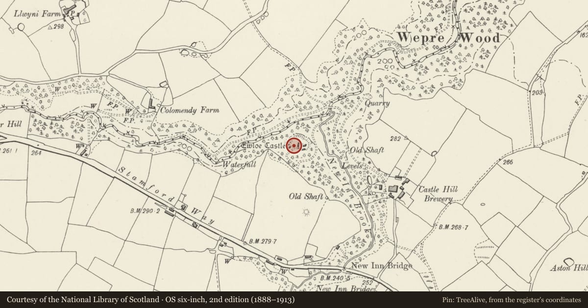 Ordnance Survey six-inch map, 2nd edition (1888–1913) covering the location of Castell Ewloe, Hawarden, Flintshire, with a pin at the register's coordinates