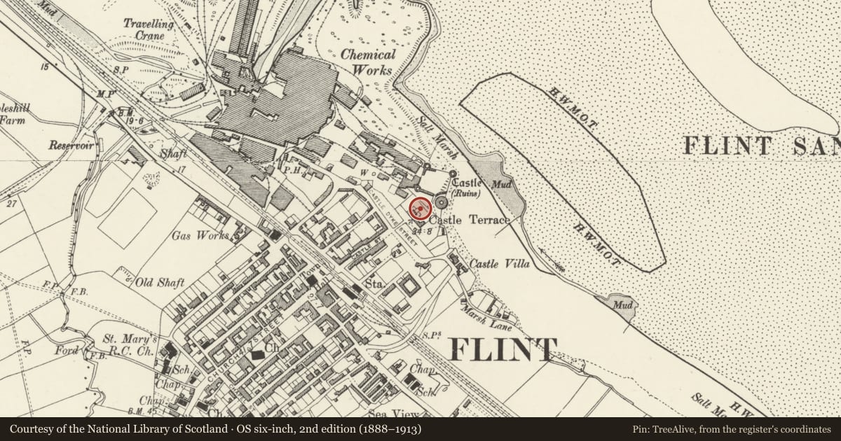 Ordnance Survey six-inch map, 2nd edition (1888–1913) covering the location of Castell y Fflint, Flintshire, with a pin at the register's coordinates