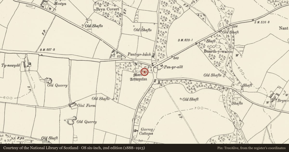 Ordnance Survey six-inch map, 2nd edition (1888–1913) covering the location of Maen Achwyfan Cross, Whitford, Flintshire, with a pin at the register's coordinates