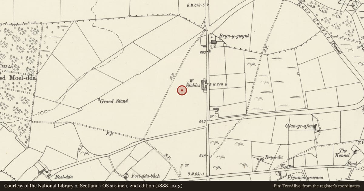 Ordnance Survey six-inch map, 2nd edition (1888–1913) covering the location of Offa's Dyke:Section N & S of the Circle on Holywell Racecourse, and Circle and Round Barrow, Ysceifiog, Flintshire, with a pin at the register's coordinates