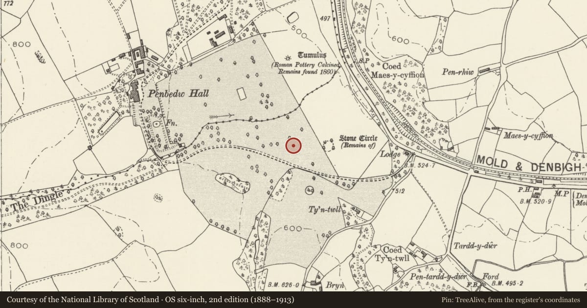 Ordnance Survey six-inch map, 2nd edition (1888–1913) covering the location of Penbedw Park Stone Circle & Standing Stone, Nannerch, Flintshire, with a pin at the register's coordinates