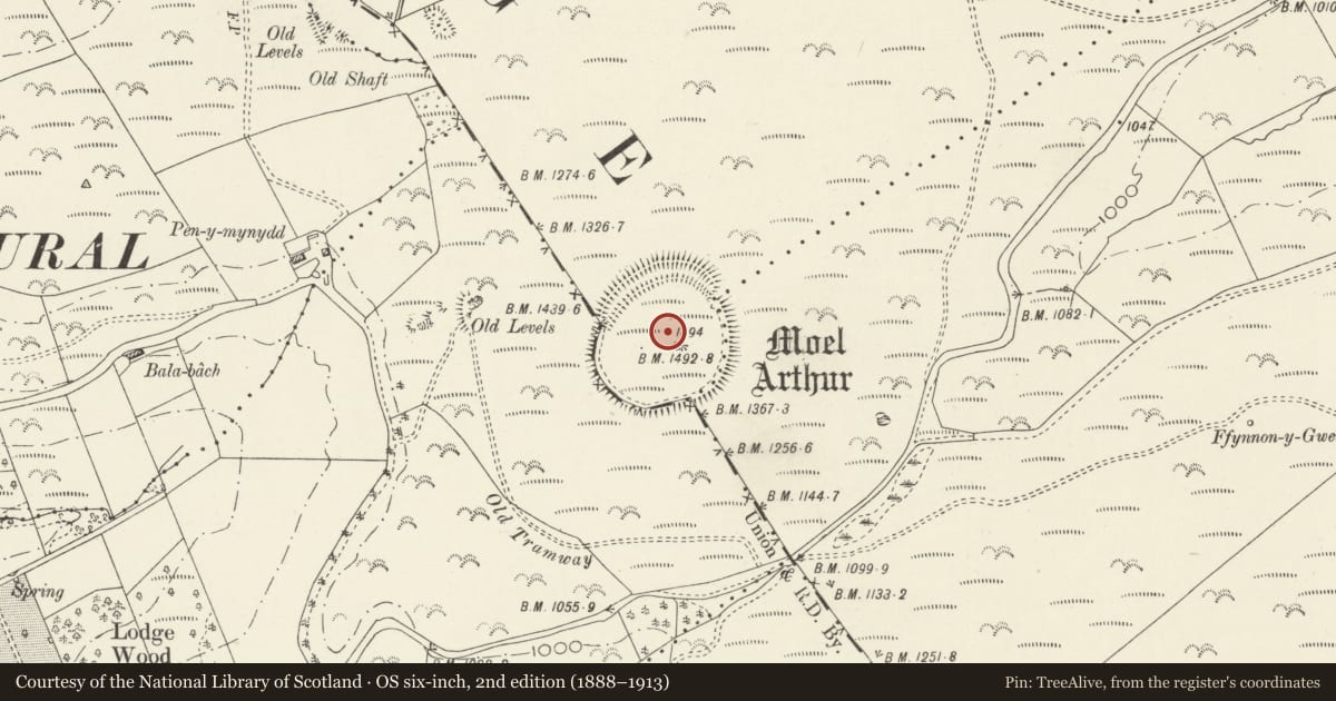 Ordnance Survey six-inch map, 2nd edition (1888–1913) covering the location of Moel Arthur Camp, Nannerch, Denbighshire, with a pin at the register's coordinates