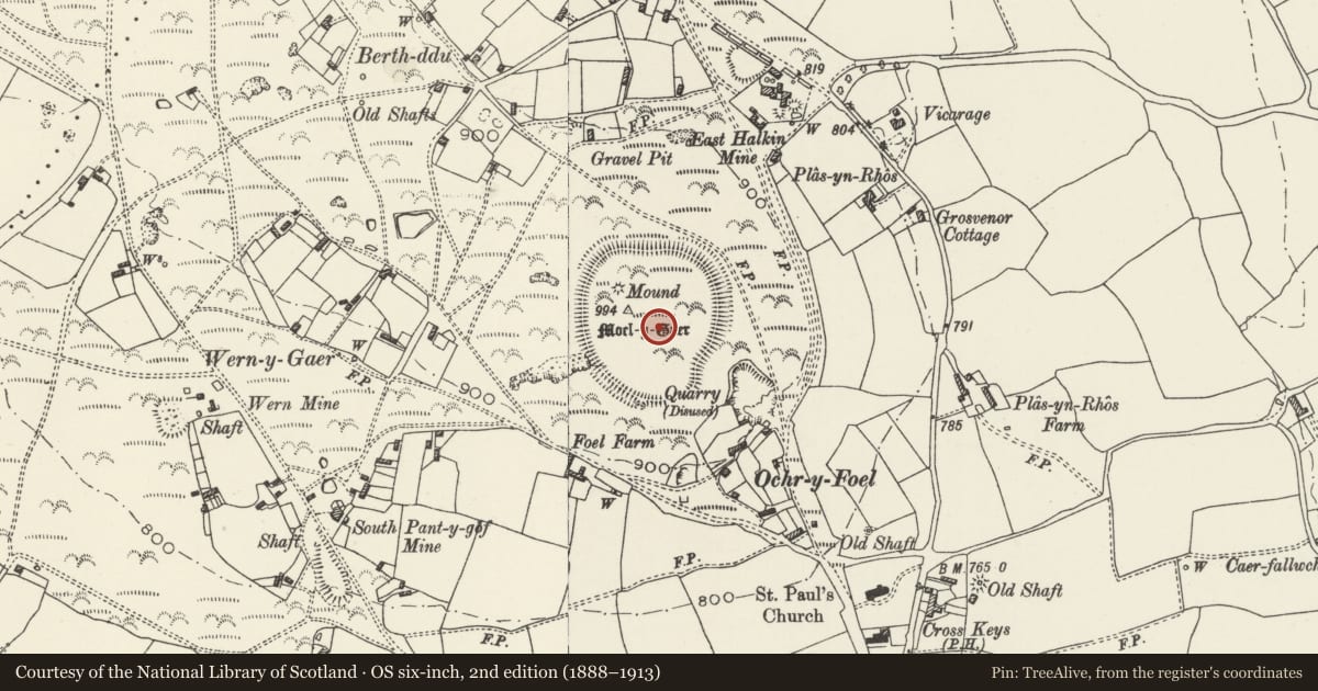 Ordnance Survey six-inch map, 2nd edition (1888–1913) covering the location of Moel y Gaer Camp, Halkyn, Flintshire, with a pin at the register's coordinates