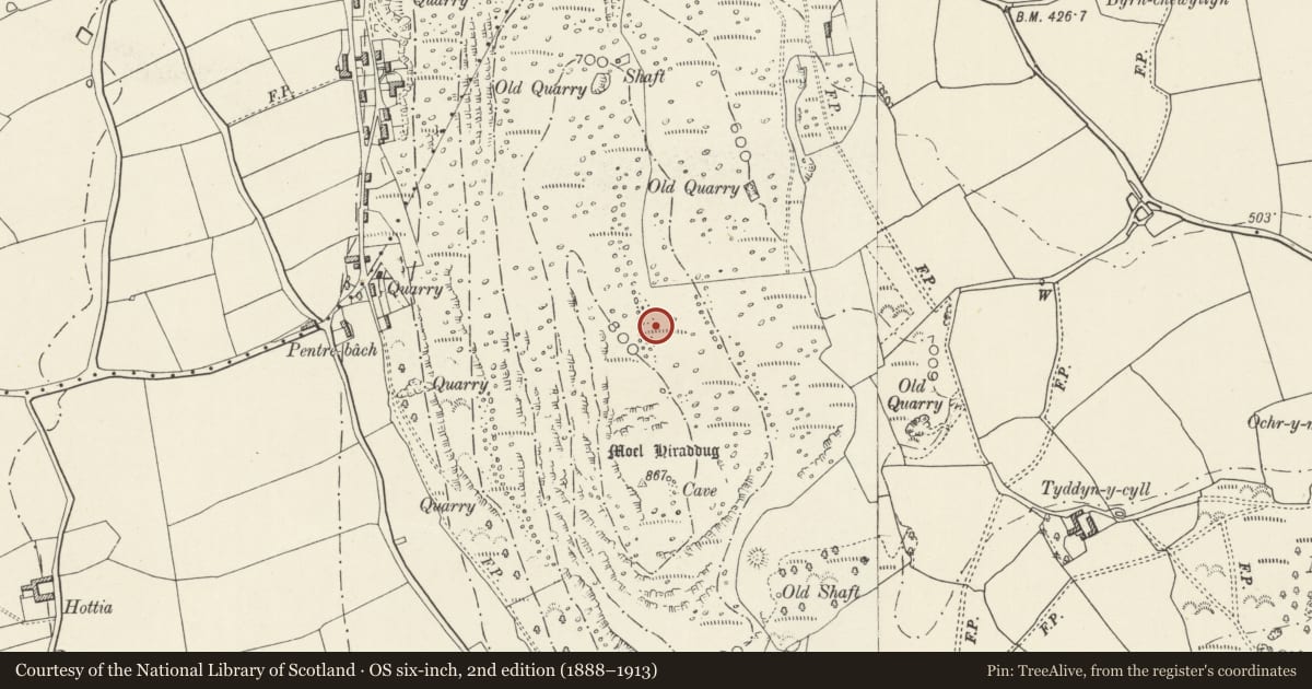 Ordnance Survey six-inch map, 2nd edition (1888–1913) covering the location of Moel Hiraddug Hillfort, Dyserth, Denbighshire, with a pin at the register's coordinates