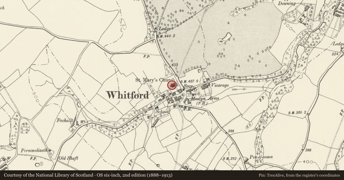 Ordnance Survey six-inch map, 2nd edition (1888–1913) covering the location of Downing Hall Inscribed Stone (now in Whitford Church), Flintshire, with a pin at the register's coordinates